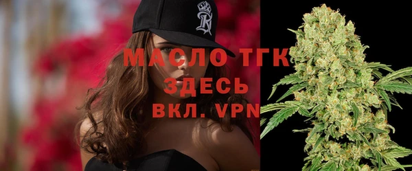 стаф Арсеньев