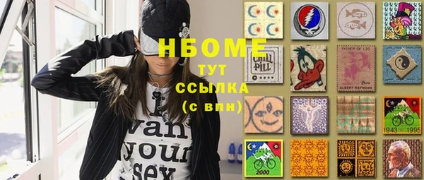 стаф Арсеньев