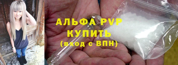 стаф Арсеньев